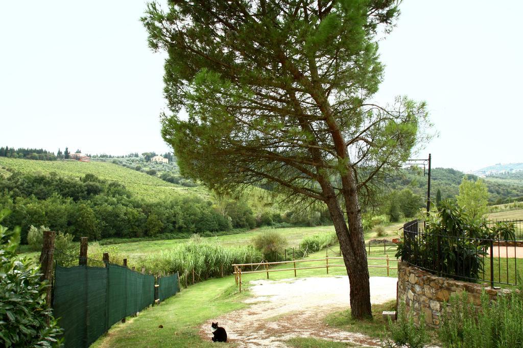 La Gufaia - Holiday House With Private Pool Near Florence كارمينيانو المظهر الخارجي الصورة