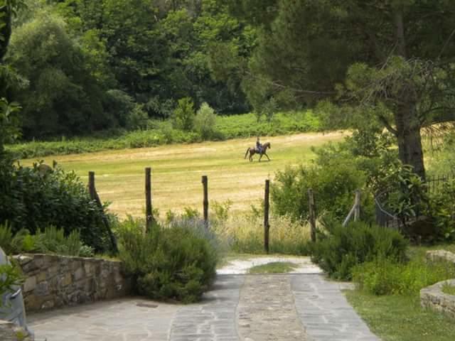 La Gufaia - Holiday House With Private Pool Near Florence كارمينيانو المظهر الخارجي الصورة